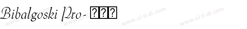Bibalgoski Pro字体转换